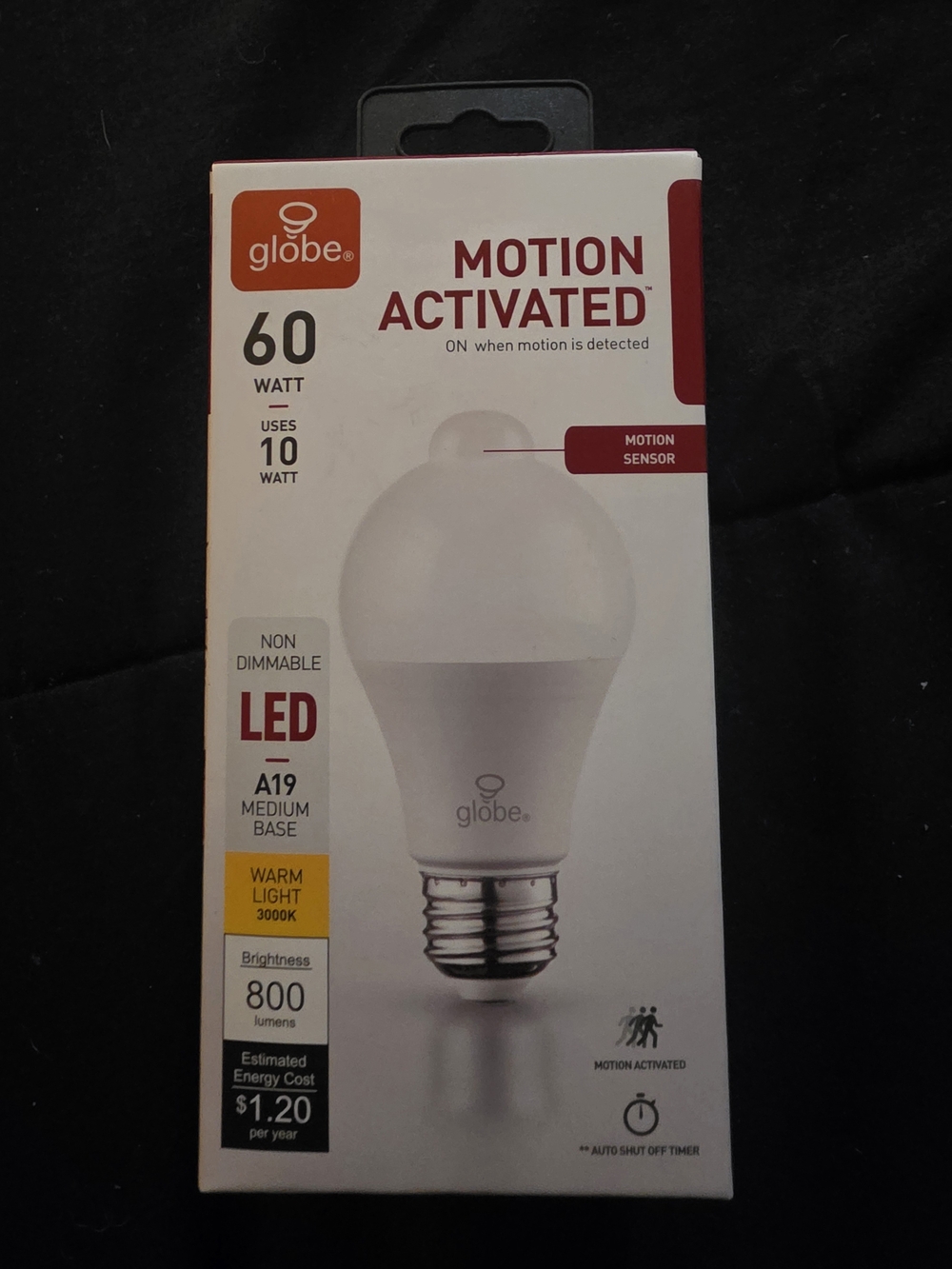 Globe Motion Sensor LED Bulb